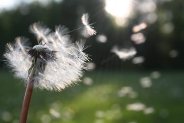 Improve Your Wishing