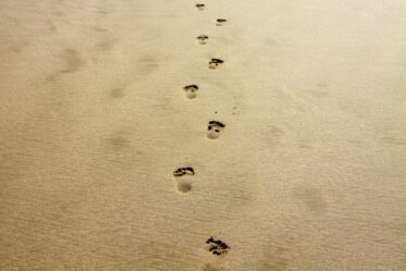 Footprints in the Sand