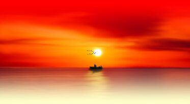 beautiful sunset with boat and birds passing by