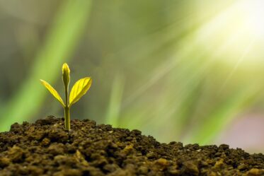 Life Is Like a Working Vacation on Earth plant growing