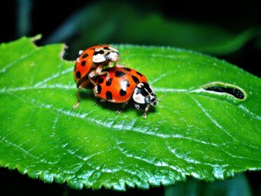 how to get closer to god spiritually